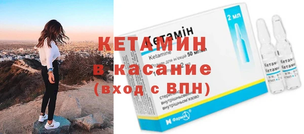 спиды Ельня