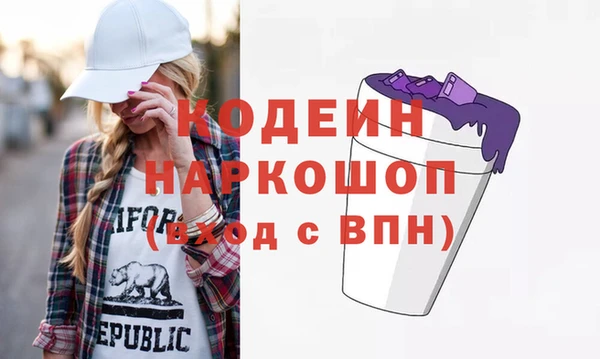 спиды Ельня