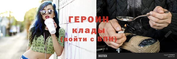 гидра Елабуга
