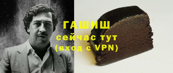 гидра Елабуга