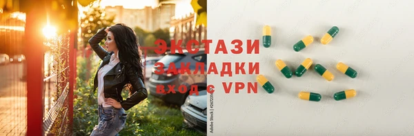спиды Ельня
