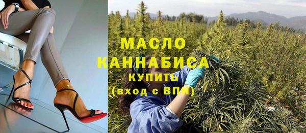 гидра Елабуга