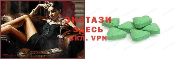 спиды Ельня