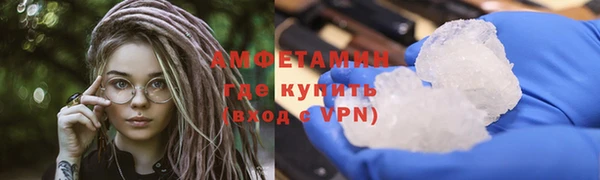 гидра Елабуга