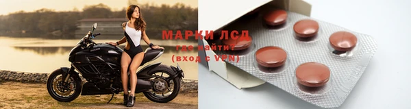 гидра Елабуга