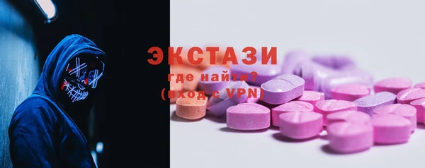 гидра Елабуга