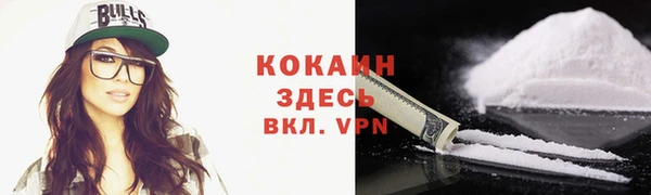 спиды Ельня