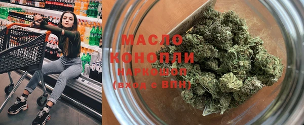 спиды Ельня