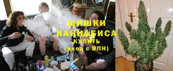 спиды Ельня