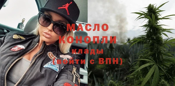 гидра Елабуга