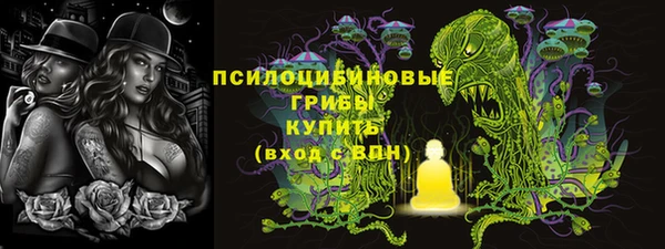 мяу мяу мука Елизово