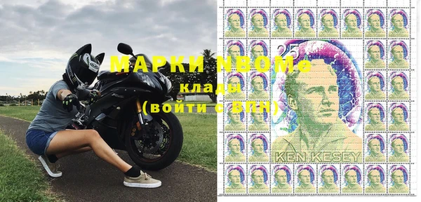 гидра Елабуга