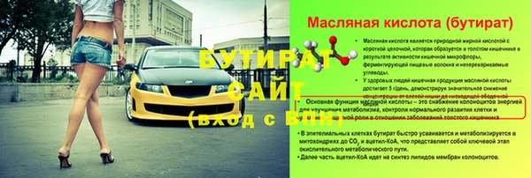 спиды Ельня