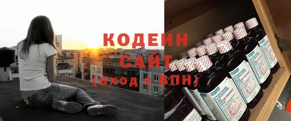 спиды Ельня