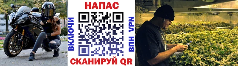 Марихуана конопля  Купить где  Майский 
